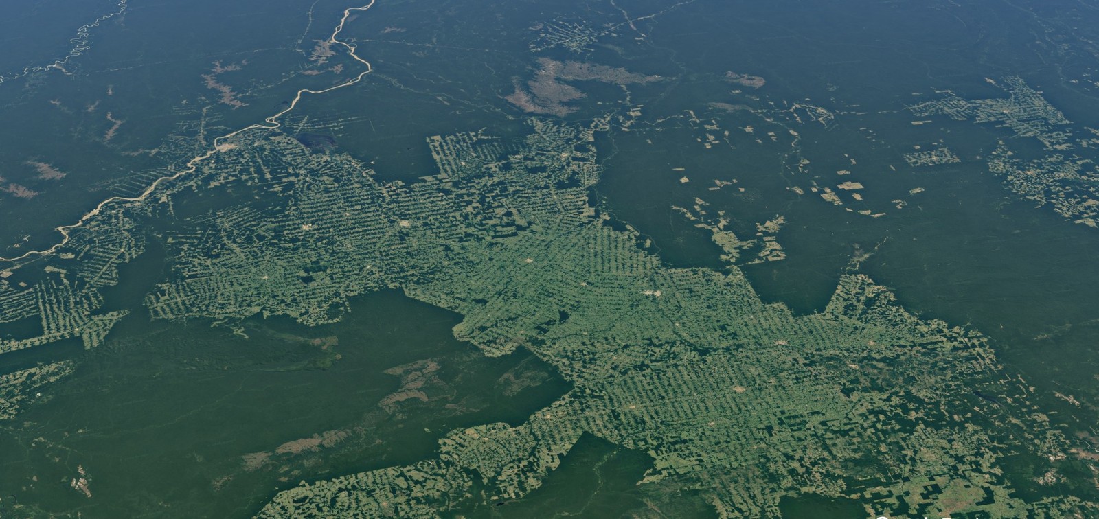 Rondônia perde 70 mil km² de floresta em quase 30 anos, aponta Mapbiomas